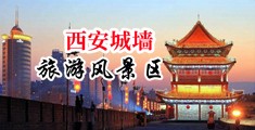 中国大胸老骚逼妇女脱光衣服在厨房被男人插嘴巴内射中国陕西-西安城墙旅游风景区