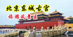 黄色网站大骚逼中国北京-东城古宫旅游风景区